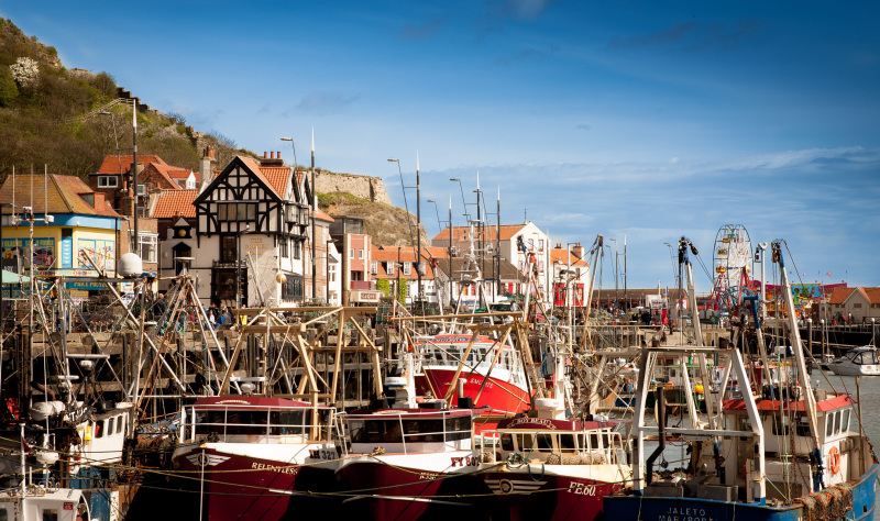 The Yorkshire Coast – full of surprises! 